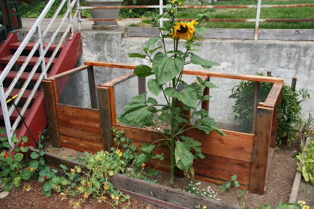 wood project plan maker